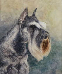 schnauzer watercolor portrait painting dog animals bristol pet board