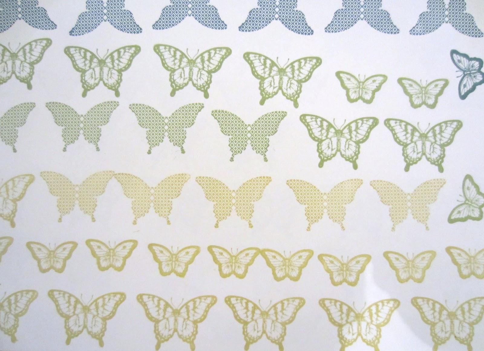 Schmetterlingsbilder Kostenlos: Farbenfrohe Freude für Jung und Alt!