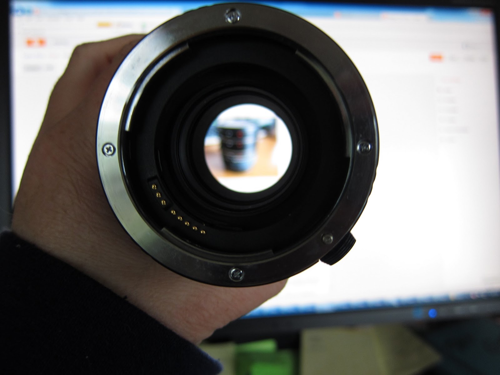 Tee's Pics Any lens can be a macro lens with extension tubes.