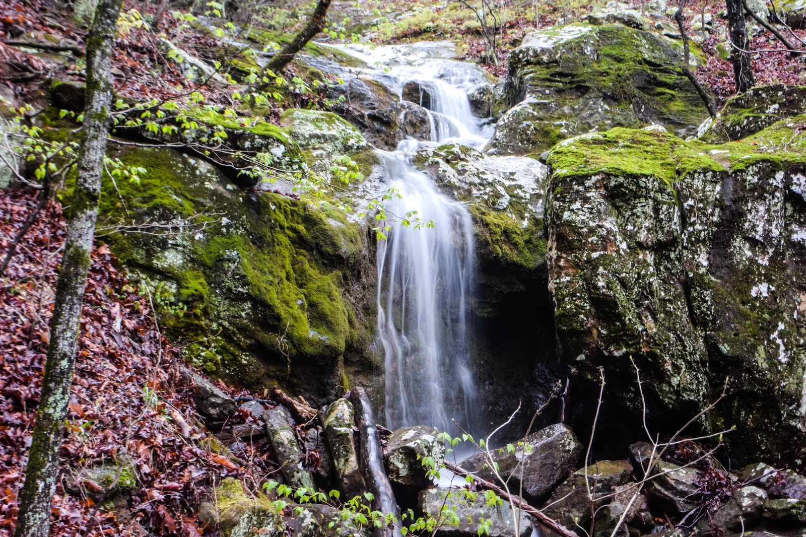 Rick's Hiking Blog Grapevine Shelter, Blue Hole, and Green Grotto