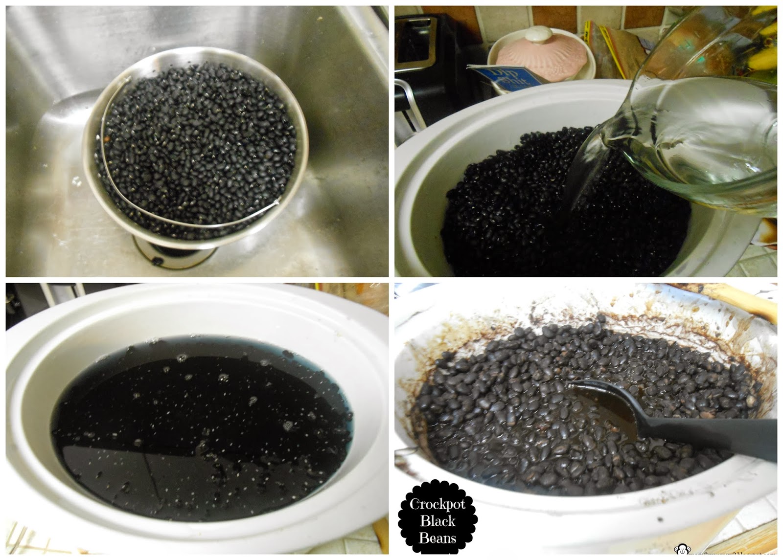 Running away? I'll help you pack. Getting My Hummus On Black Bean