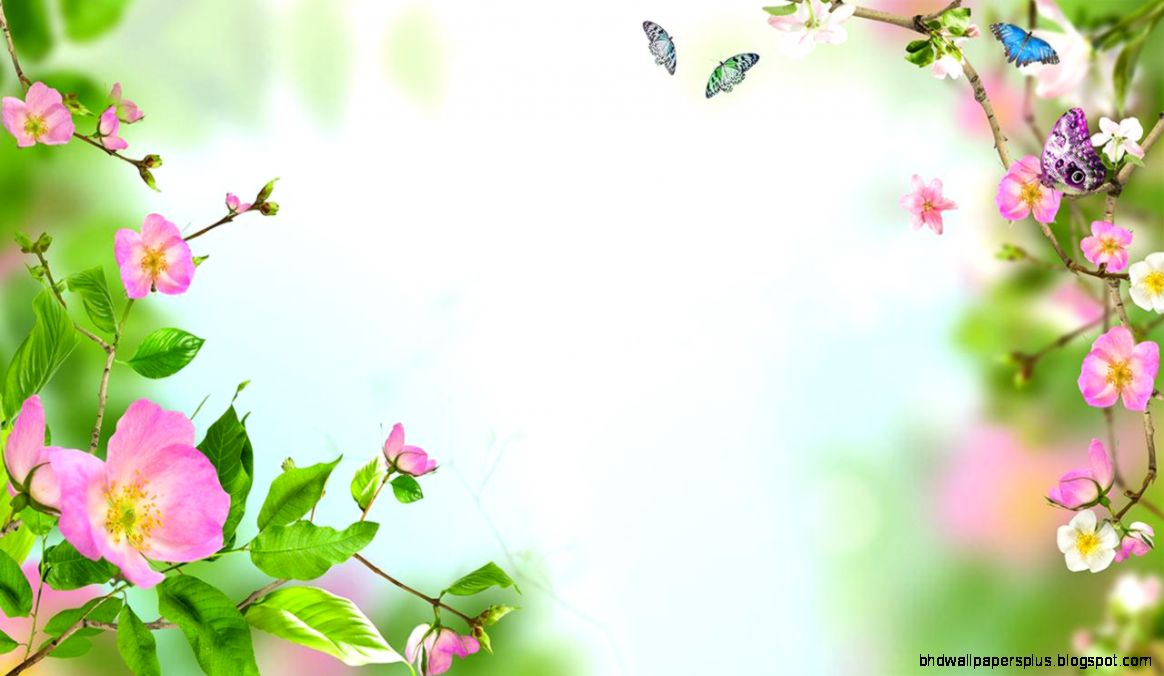 Flowers Live Wallpaper   Android Apps on Google Play