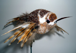 fly bird wren carolina pat hadley fishing cohens seen water wrynn december
