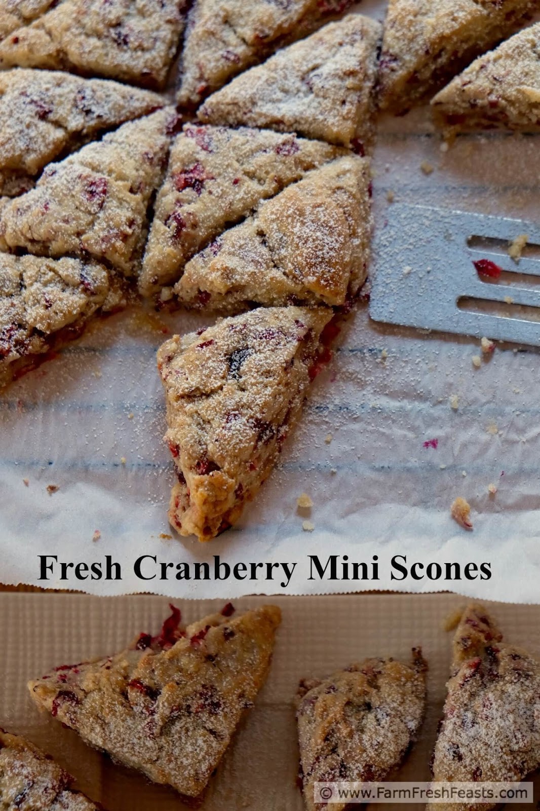 Cranberry-Orange Scone Mix and Mini Scone Pan Set