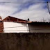 VÍDEO: Bodes e cabras invadem telhado das casas na Vila Mariana, em Patos