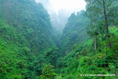Hutan ala "Avatar" terbentang di Petungkriyono Curug Muncar Hutan ala "Avatar" terbentang di Petungkriyono Curug Muncar