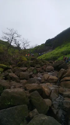 rocks while trekking