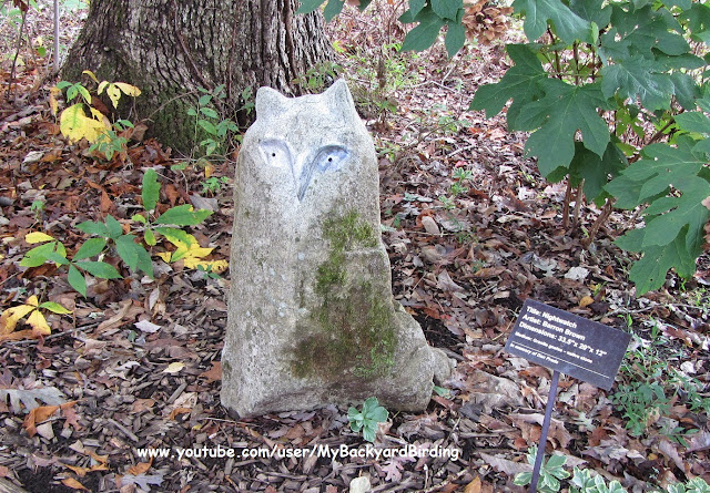 "Nightwatch" Owl Statuary Carved In Granite