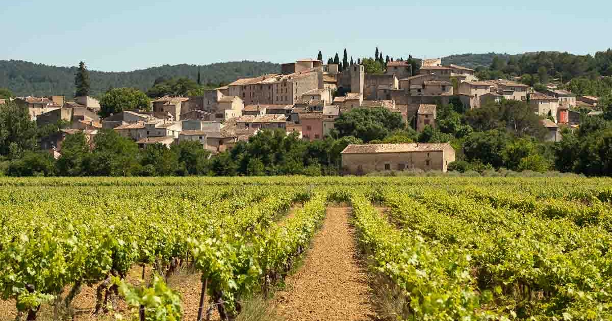 the most beautiful vineyards in the world travell and culture
