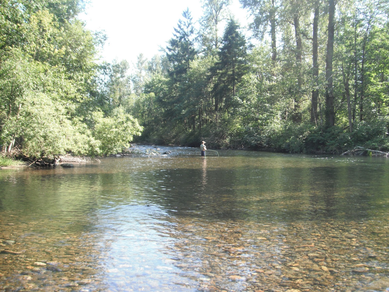 Where I have Fished Cedar River, WA