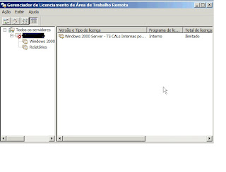 ATIVANDO TS SERVER 2008 R2 / 2012