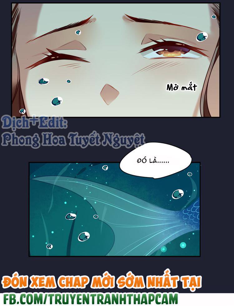 Cẩm Lý Quy Chap 1 - Next Chap 2