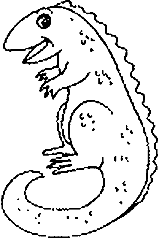 Animal Lizard Coloring Sheet For Print title=