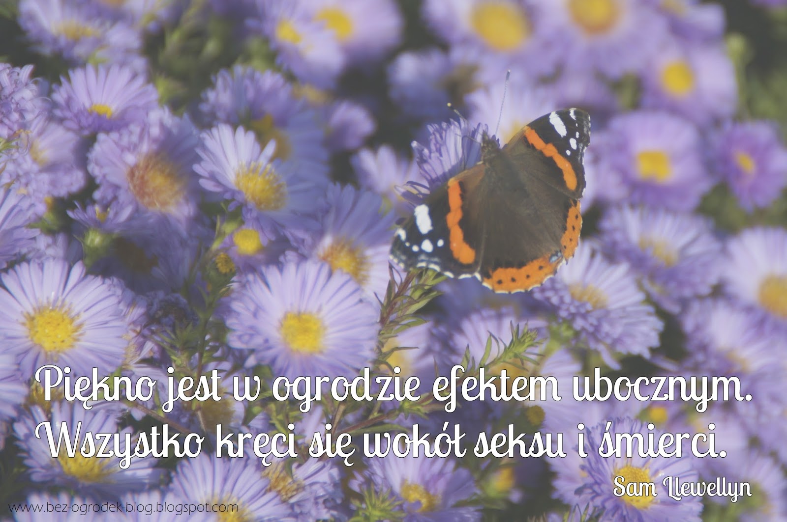 Cytaty Z życia Wzięte Na Fb 10 najpiękniejszych cytatów o kwiatach i ogrodach | BEZ-OGRÓDEK | blog