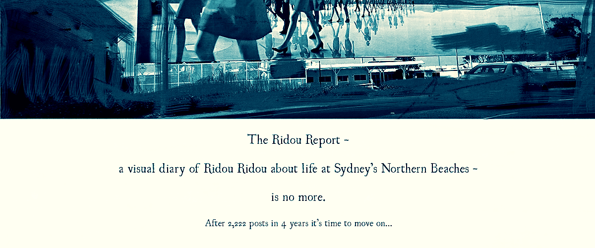 The Ridou Report