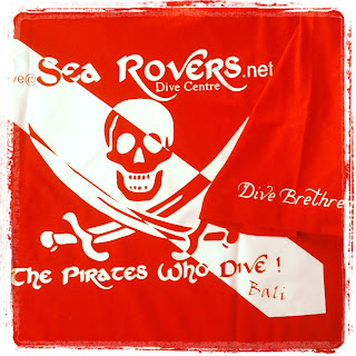 Garr! Pirate diver down!