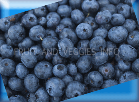blueberries nutrition Medical 