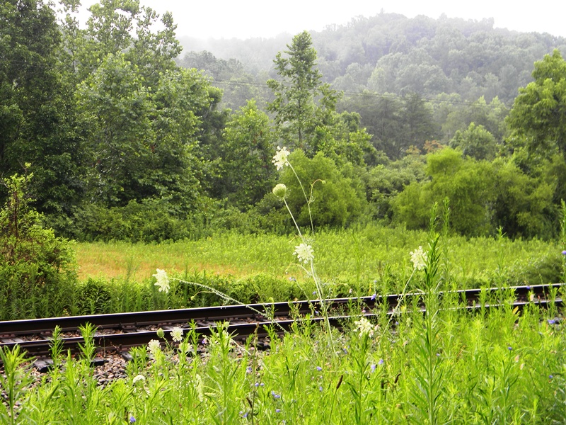 SWAC Girl Train tracks from Buffalo Gap to Goshen