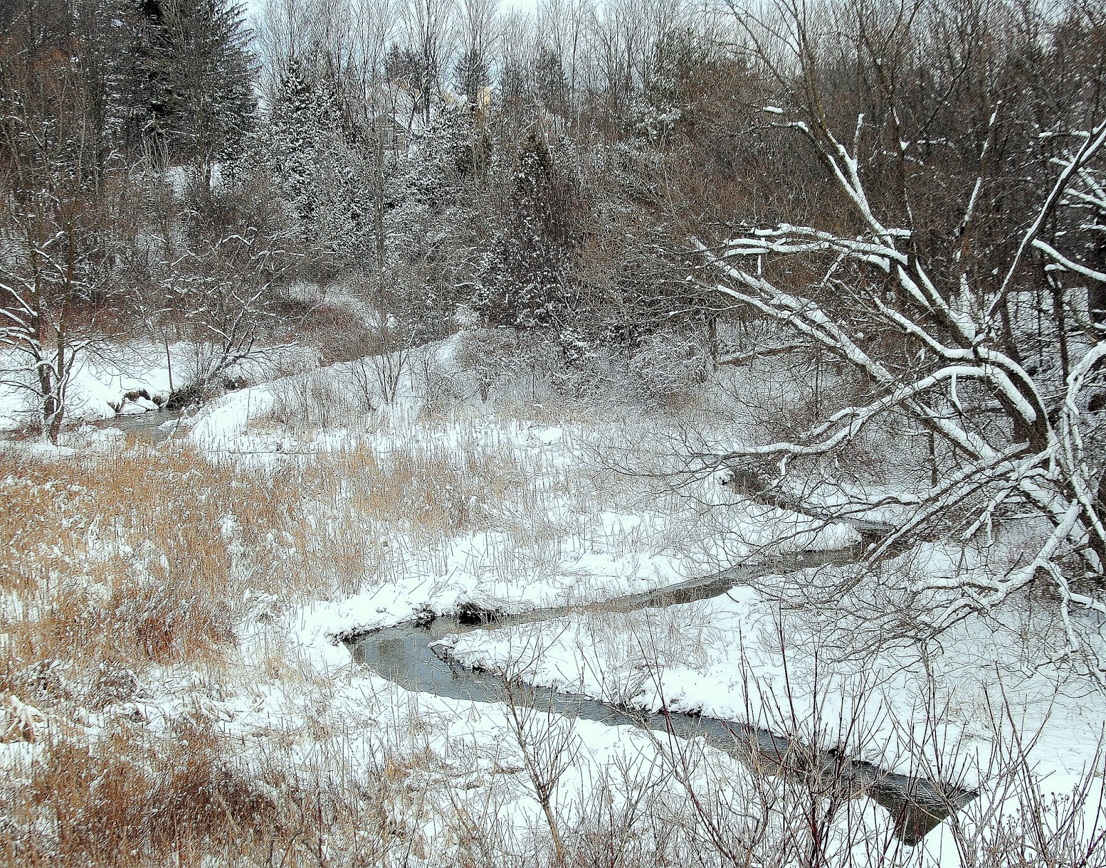 Camera on King & Aurora East Humber Drive and Keele Street King City