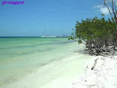 escursione Cayo Blanco Varadero Cuba