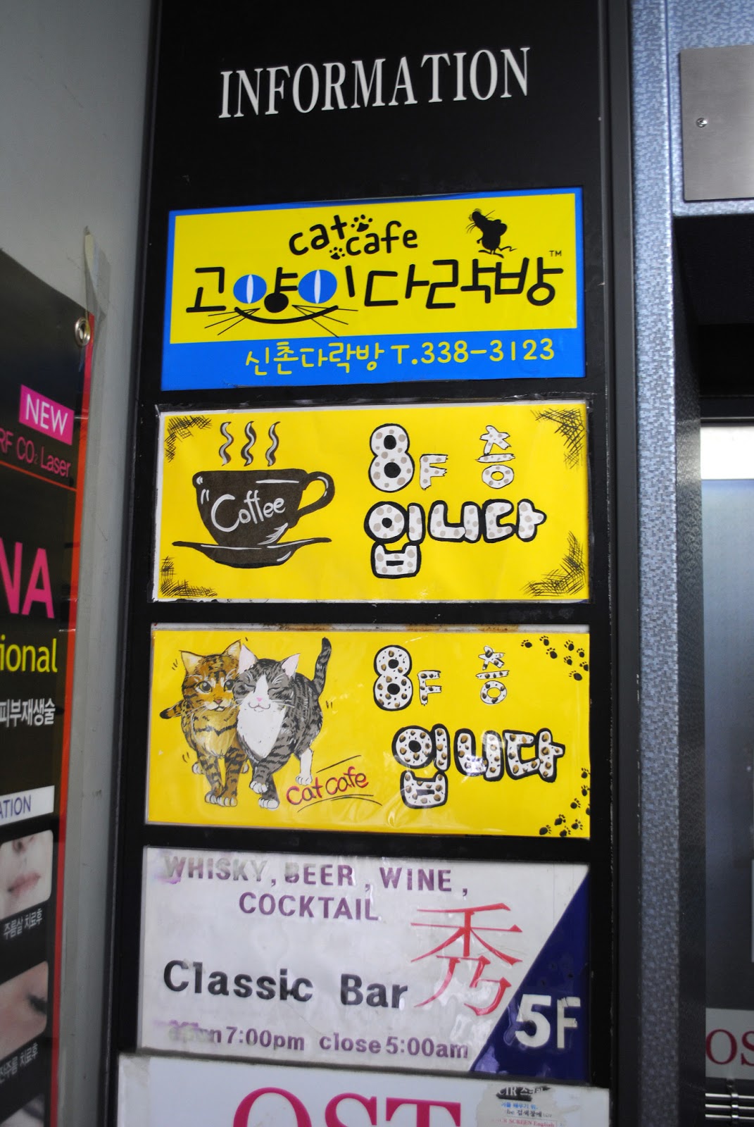 Singapore Wild City Trip 17 KCC, Korean Cat Cafe (4/5)