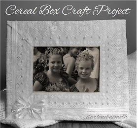 Cereal Box Picture Frame