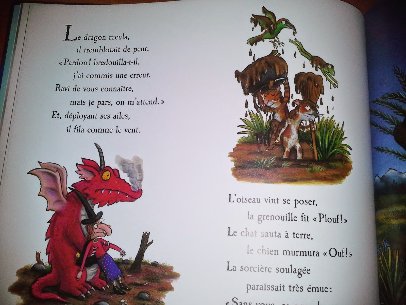 La Sorcière Dans Les Airs France 5 Les lectures de Sanléane: La sorcière dans les airs