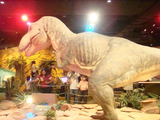     ,     ,    dino-trek-petrosains