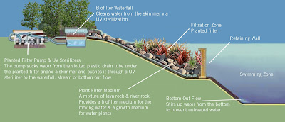 Natural Swimming Pool Design Idea Natural Swimming Pool Design Idea