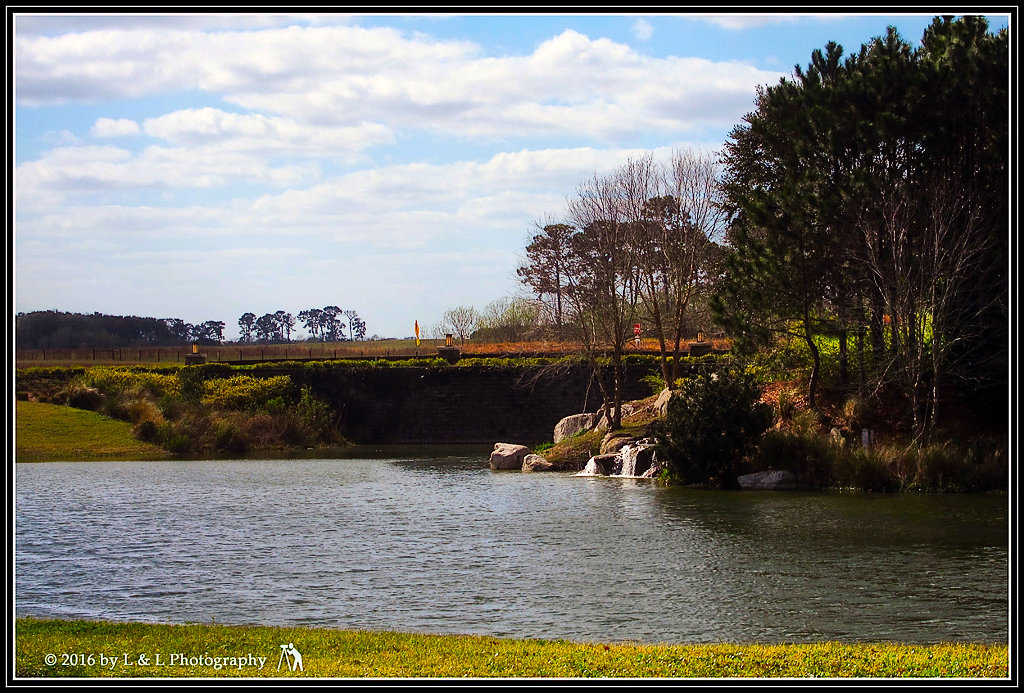 Ocala, Central Florida & Beyond Stone Creek Ocala