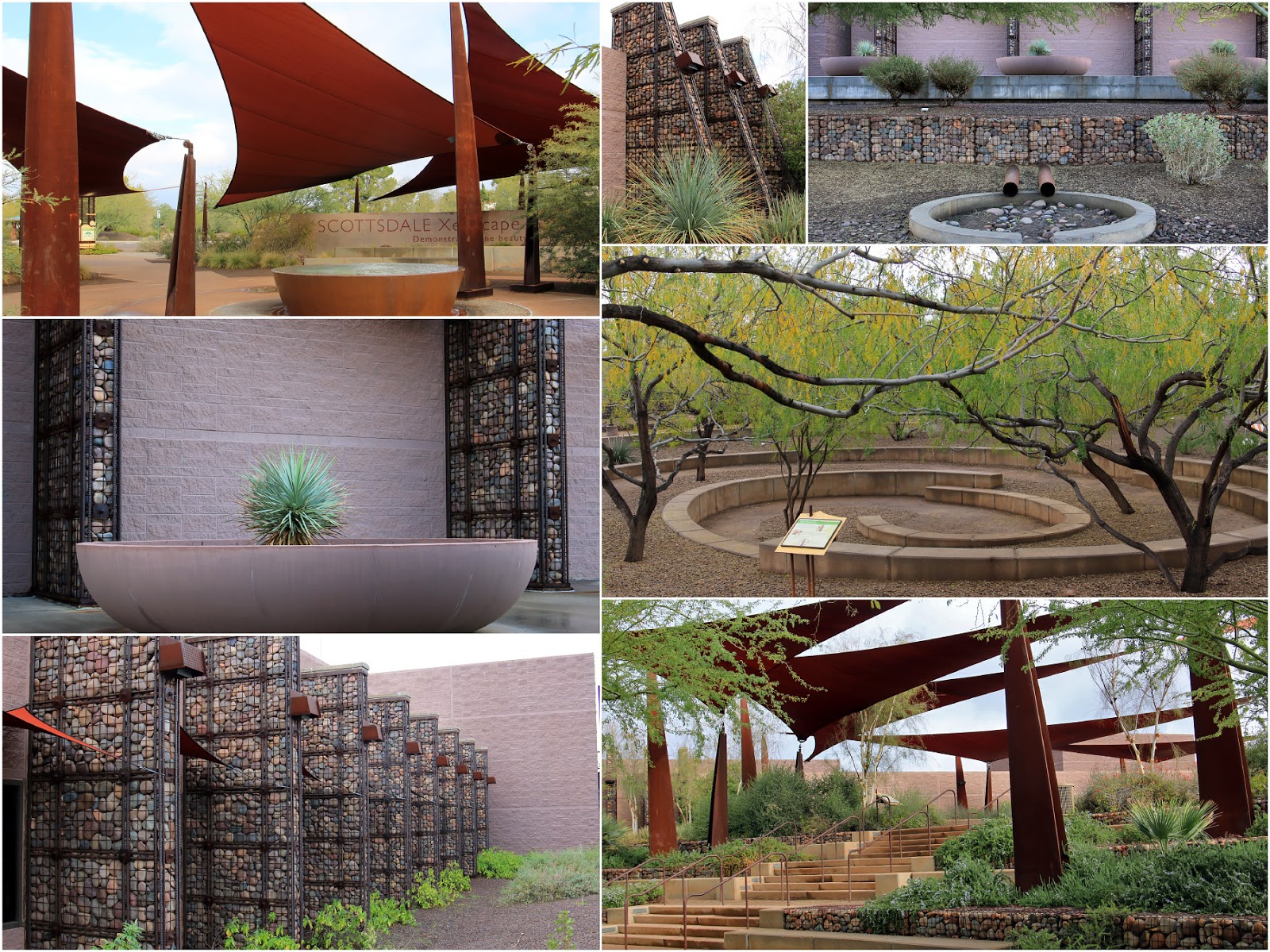 Arizona 2016 Day 5 Scottsdale Xeriscape Garden, Cavalliere Park