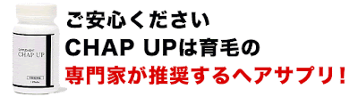 CHAPUPより引用