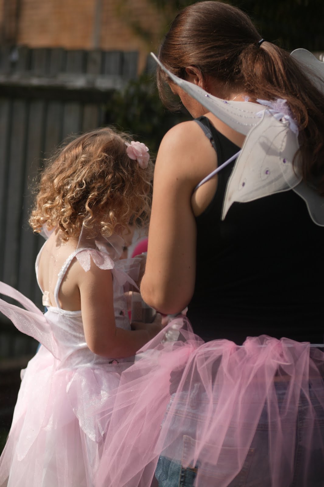 fairy dust dress up COSTUME RENTAL