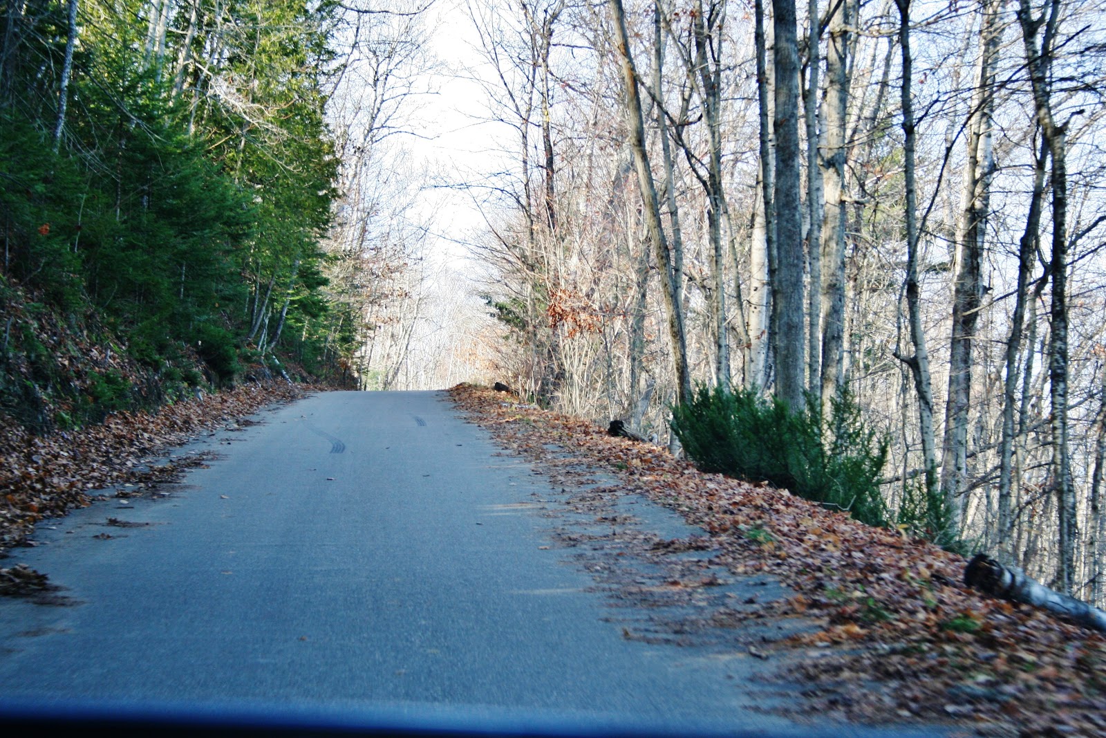 Birch Lodge Blog Whitefish Bay Scenic Byway, Bay Mills, MI ( Part 1)