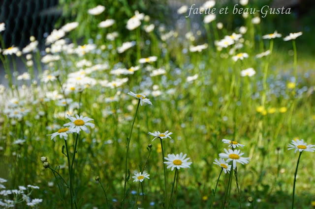 facile et beau - Gusta: Garten Allerlei im Juni