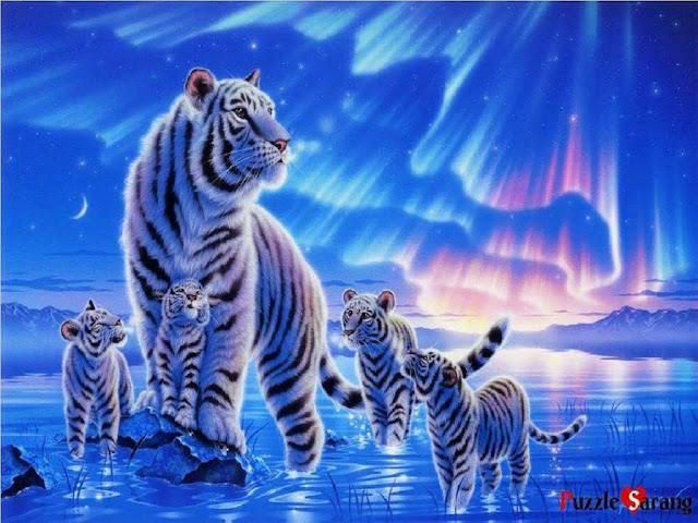 https://3.bp.blogspot.com/-NPwqKbBpnHI/VbZbmMm9uOI/AAAAAAAAAR8/2pKJmBAR3tQ/s1600/white_tiger_family-hd-1920x1080-tigre-blanco-en-familia.jpg