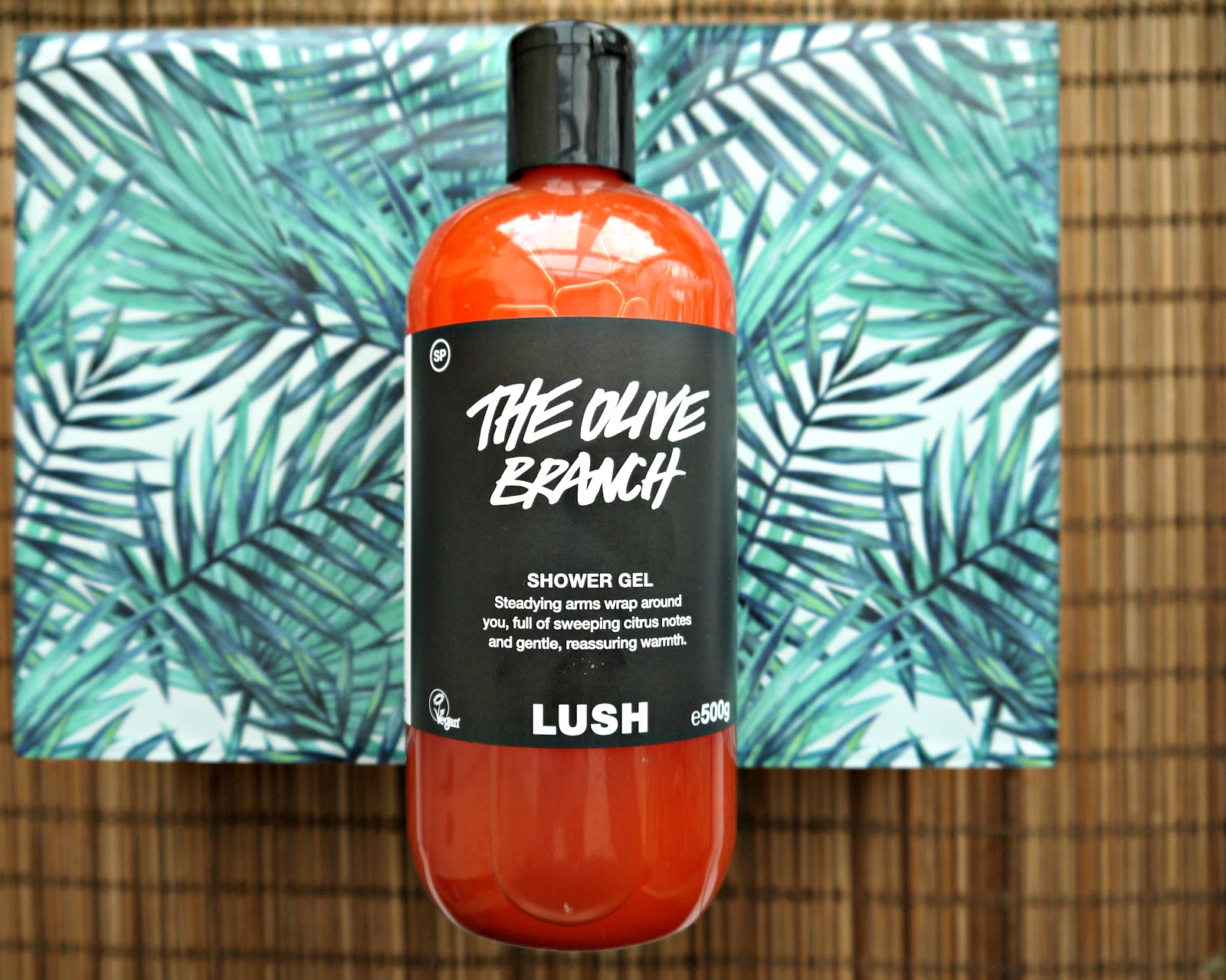 BEAUTY CURRENT FAVOURITE LUSH PRODUCTS IN MY SHOWER Good Golly Miss