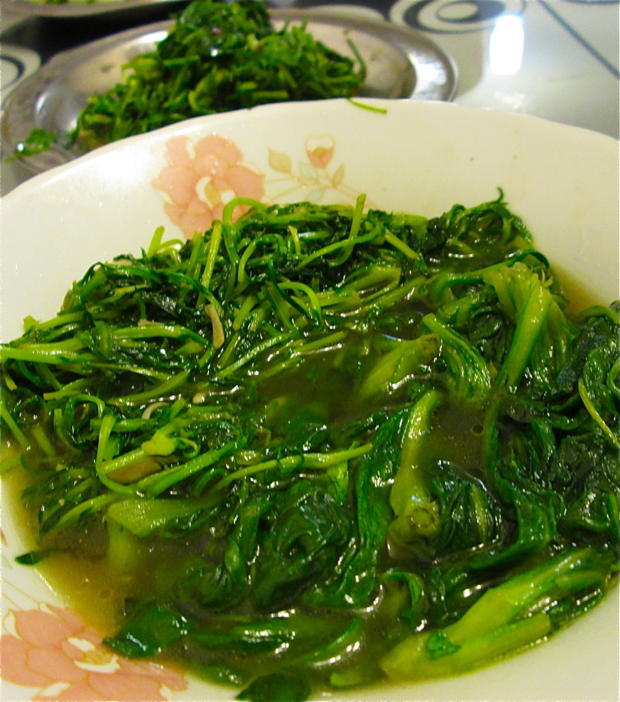 Popo's River fifty shades of Chinese greens