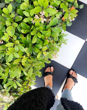 knock off birkenstocks