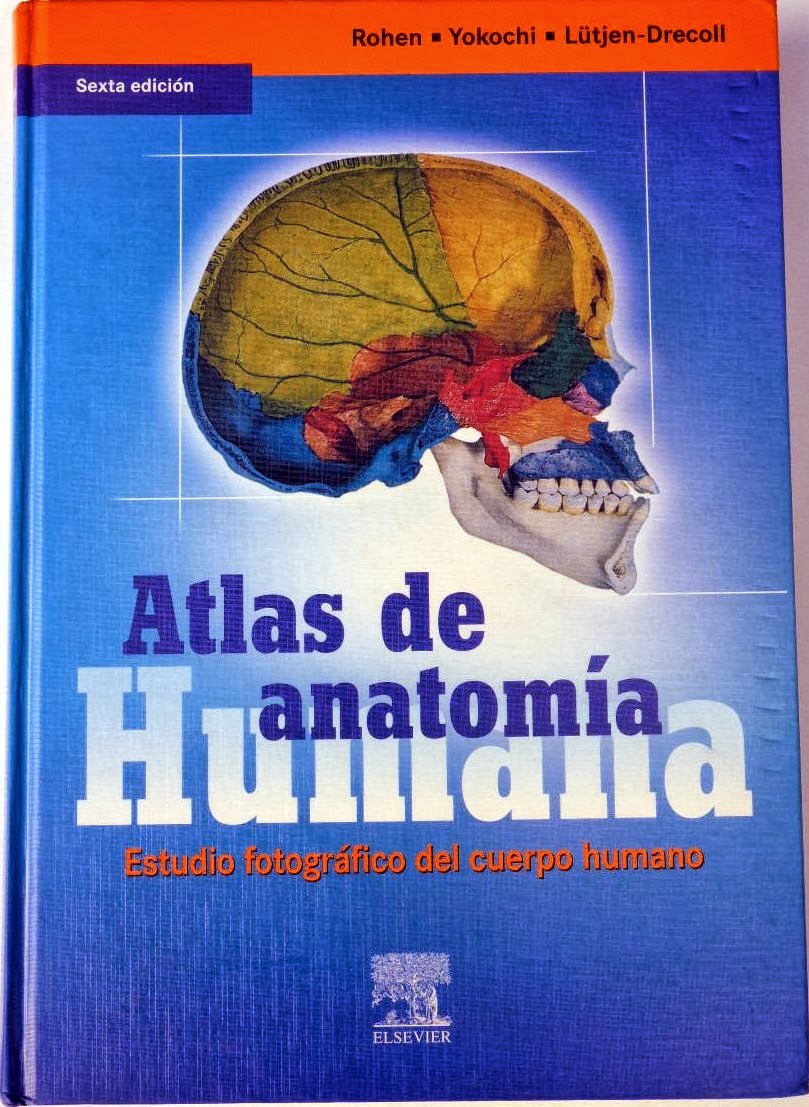 descargar pdf atlas de anatomia humana netter descargar pdf atlas de anatomia humana netter