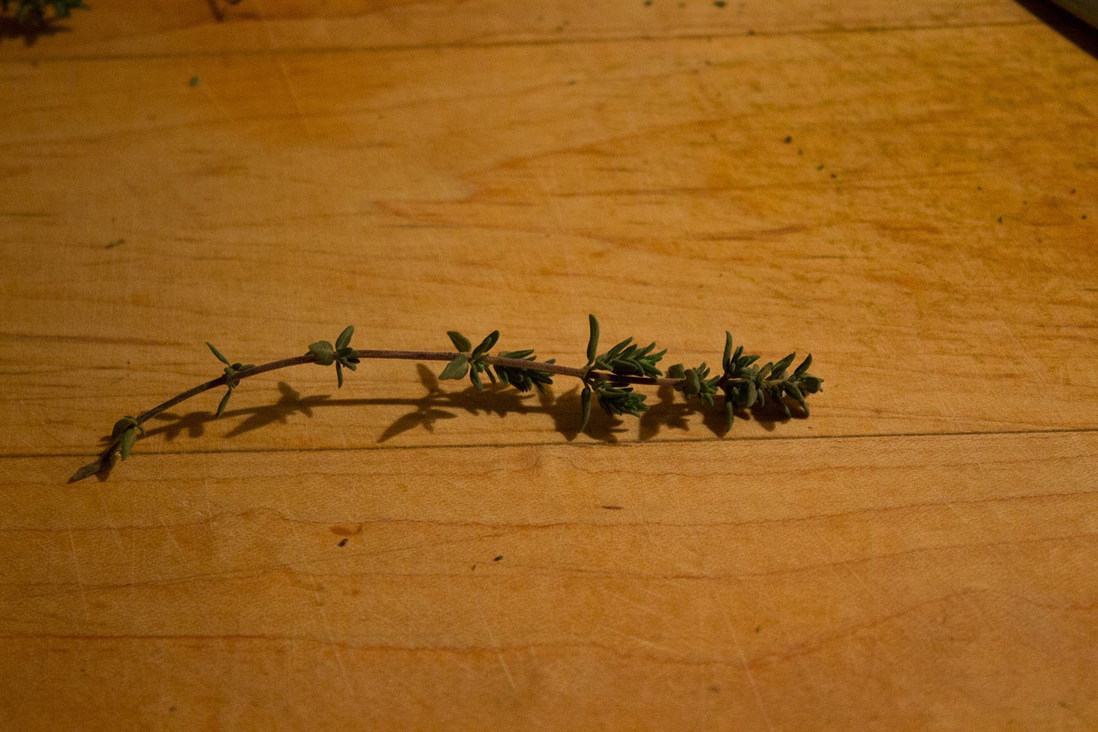 Culinary Spatterings How to DeStem Thyme