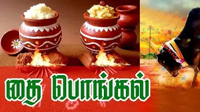 பொங்கல் வரலாறு Why is Pongal Celebrated