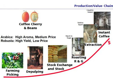 Coffee value chain