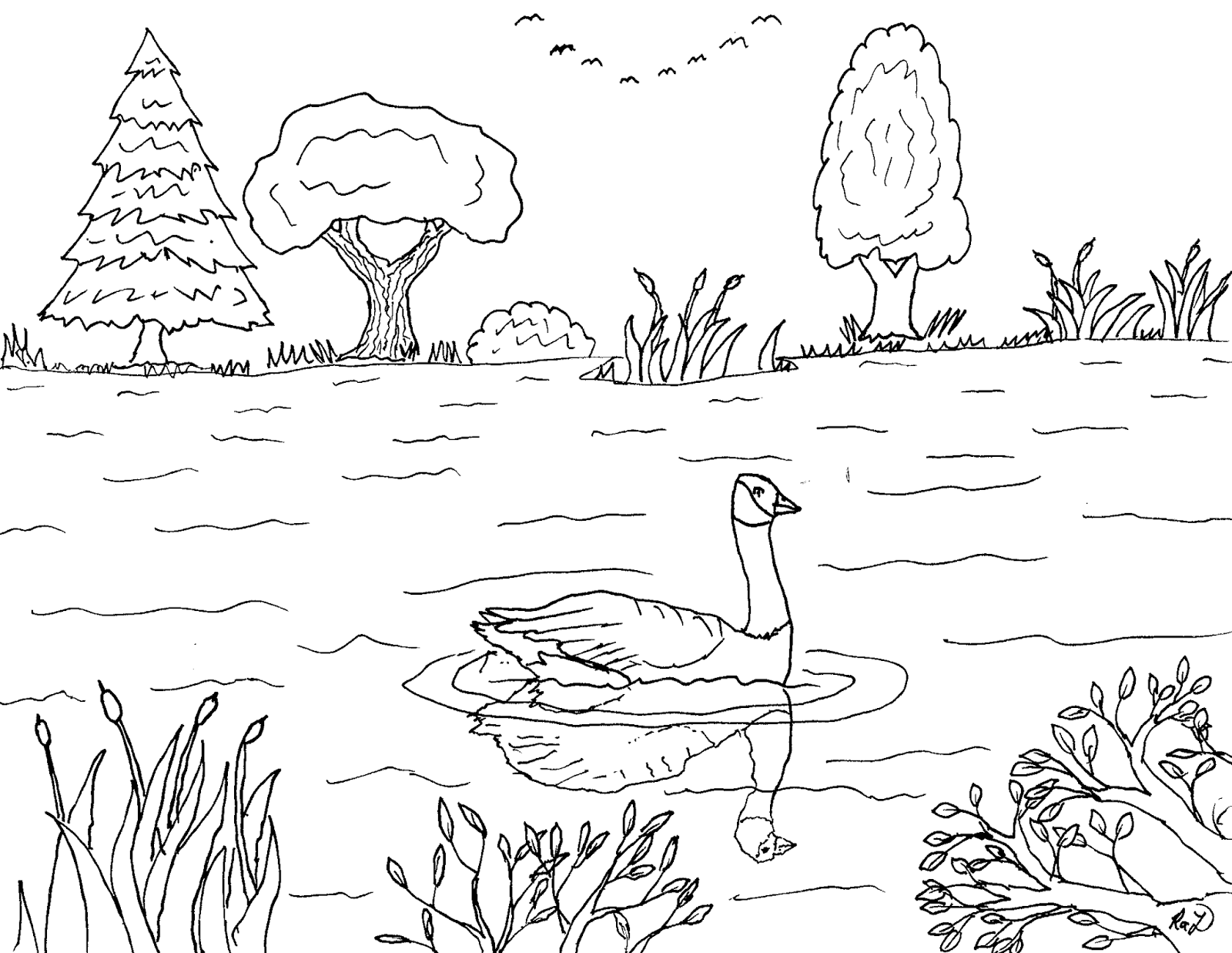 Download Bird Migration Coloring Pages | Let's Coloring The World