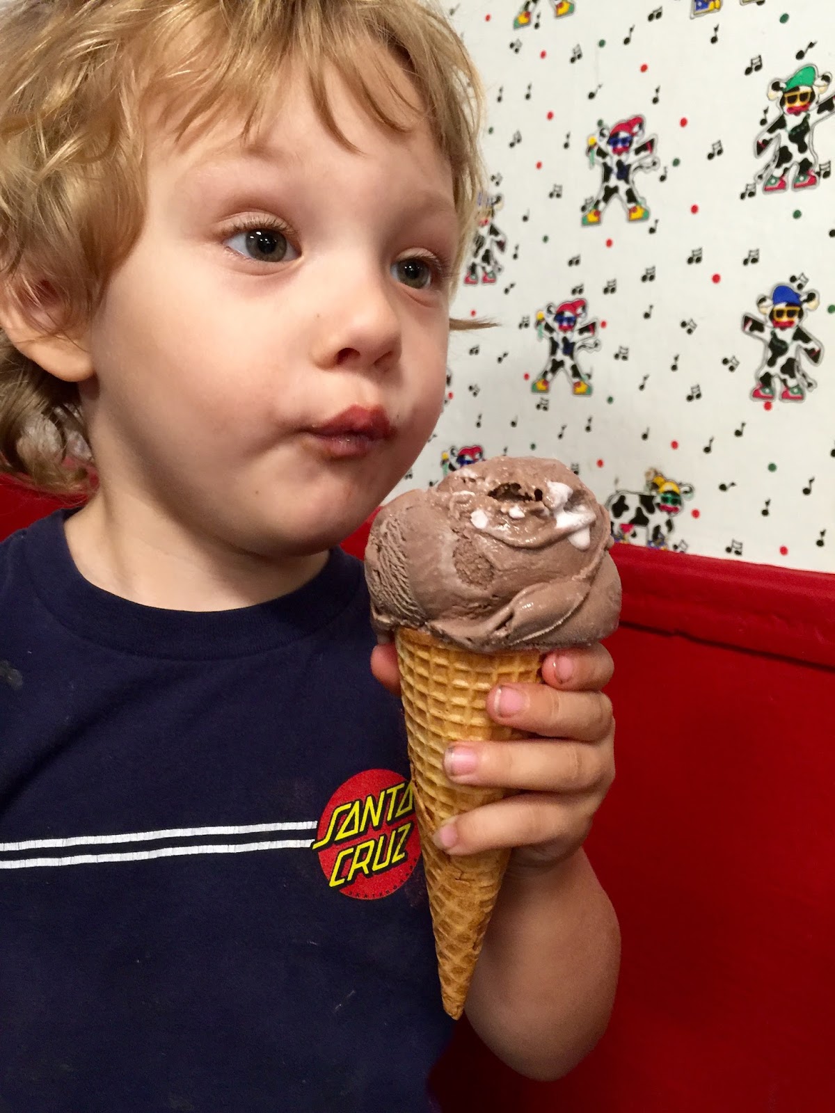 Redmund Spruce Lewycky Ice cream, You scream, We all... LOVE Chocolate