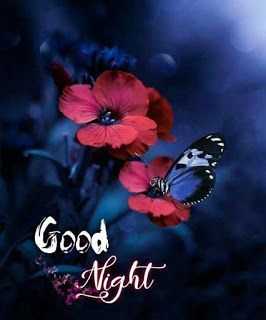 good night cute images