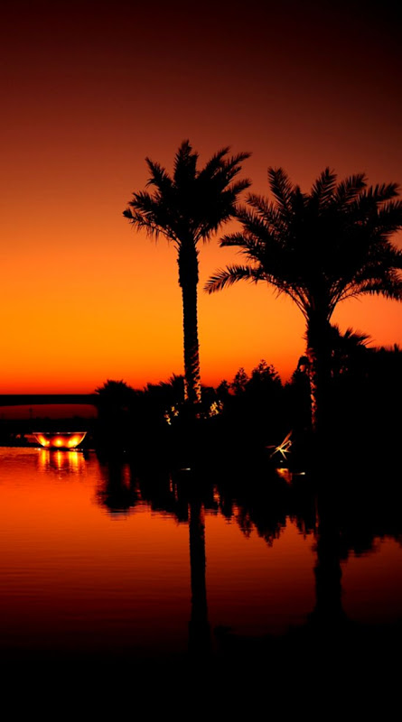 Download Wallpaper 750x1334 Dubai Night Evening Sunset Orange