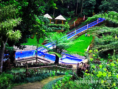 View of Villa Sylvia Resort garden and swimming pool 