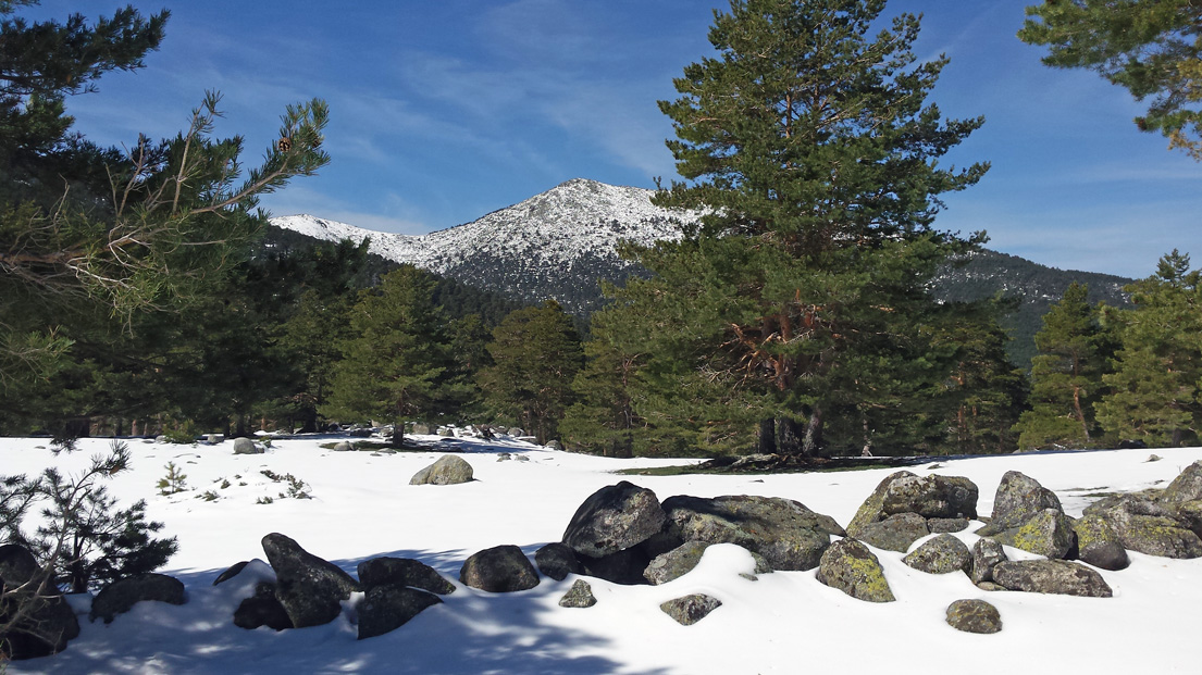 Pradera de Navalaviento