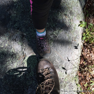 Live Free and Hike: A NH Day Hiker's Blog: A Trek Up Catamount Hill in ...
